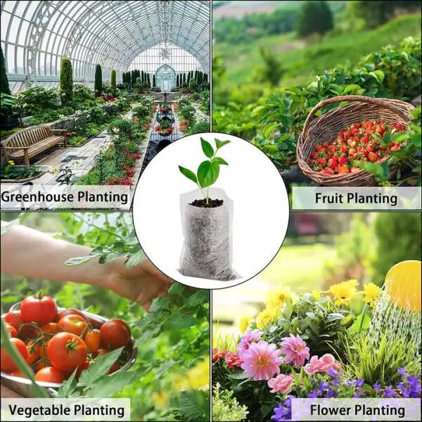 LookGrow – Set de 1000 de Saci Biodegradabili pentru Cultivarea Răsadurilor