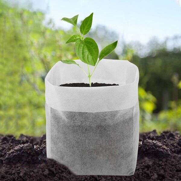 LookGrow – Set de 1000 de Saci Biodegradabili pentru Cultivarea Răsadurilor