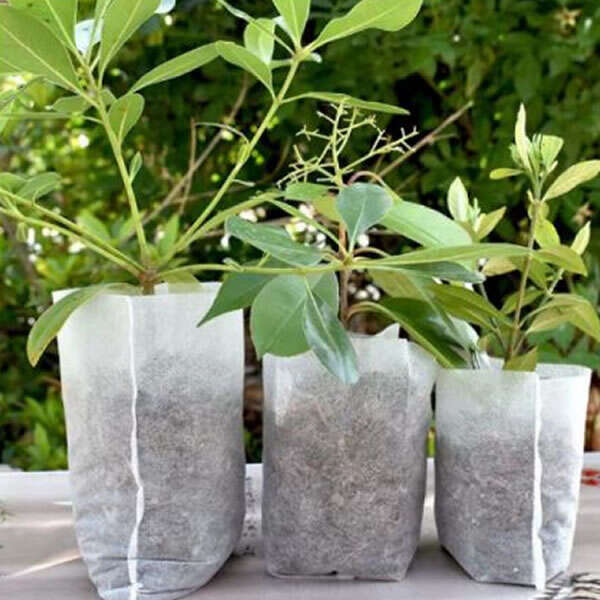 LookGrow – Set de 1000 de Saci Biodegradabili pentru Cultivarea Răsadurilor