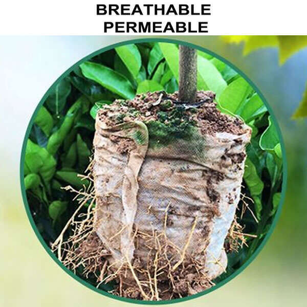 LookGrow – Set de 1000 de Saci Biodegradabili pentru Cultivarea Răsadurilor